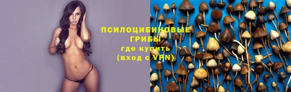 скорость Белокуриха