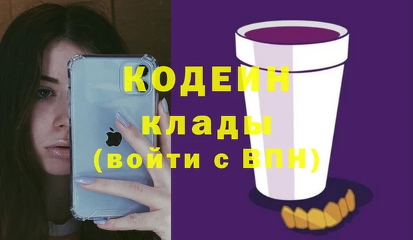 молекула духа Протвино