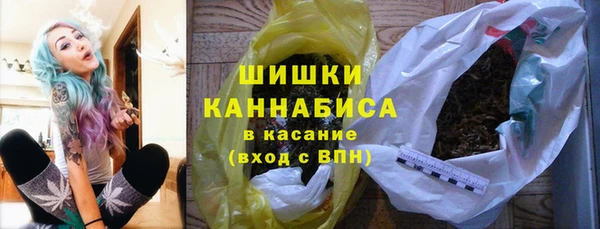 ГАЛЛЮЦИНОГЕННЫЕ ГРИБЫ Покровск